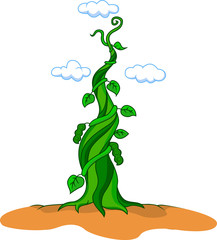 beanstalk