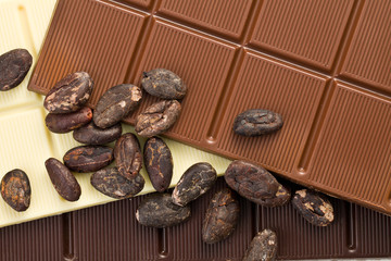 various chocolate bars with cocoa beans