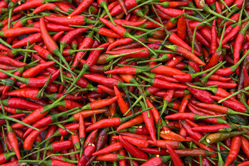Background of closeup red hot peppers