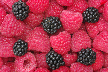 raspberry background