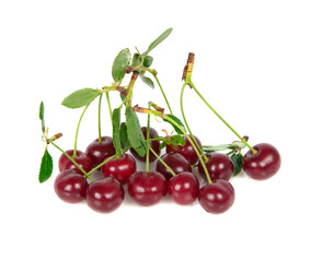 ripe cherry with leafs
