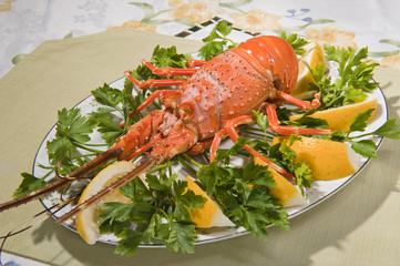 lobster