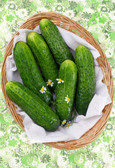 Cucumbers in the basket