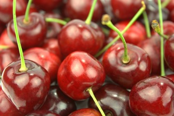 Close up  Cherries.