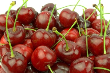 Cherries on white background
