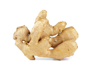 Rizoma di Zenzero (Zingiber officinale) 