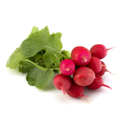 .Small garden radish  .