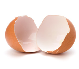 broken eggshell - 42760214