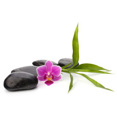 Zen pebbles path. Spa and healthcare concept.