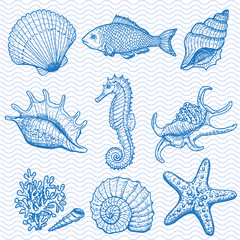 Sea collection. Original hand drawn illustration © Elena Terletskaia