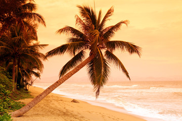 Obraz na płótnie Canvas Piękny zachód słońca na tropikalnej wyspie