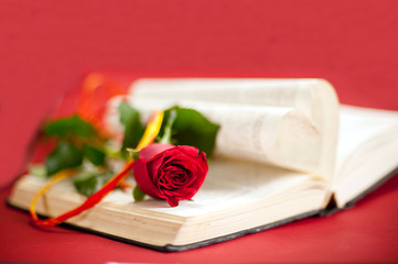 red rose at book