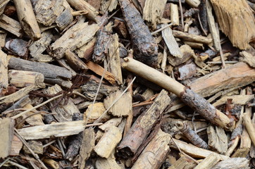 wood pieces as a background