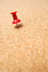 Red thumbtack on cork board