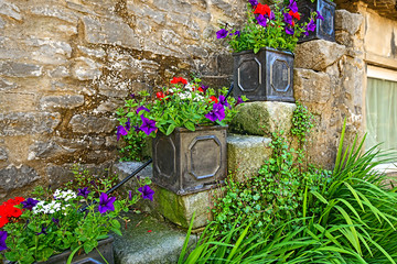 Pretty flowers decoration outside an old house