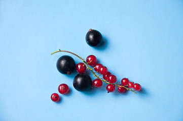 Tasty red and black currant berries on blue