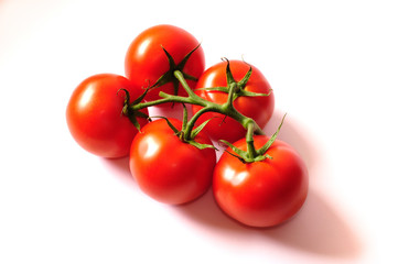 Fresh red tomatoes