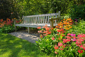 Wooden bench and bright blooming flowers - 42767858
