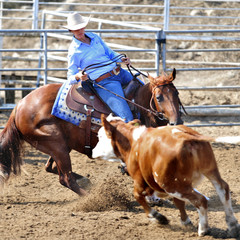Girl riding a horse in competition