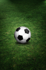 Fototapeta na wymiar soccer ball in field