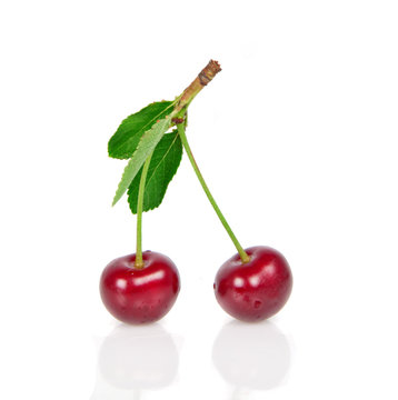 ripe cherry with leafs