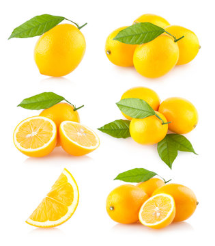 set of 6 lemon images