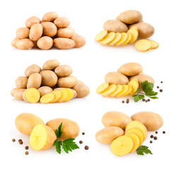collection of 6 potato images