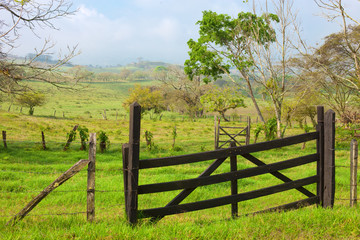 wood gate in green field