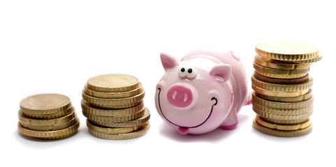 cochon économie évolution graphique gain