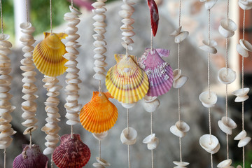 Seashells on threads