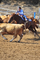 Girl riding a horse in competition