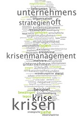 Krisen Krisenmanagement