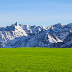 Green field and high mountains