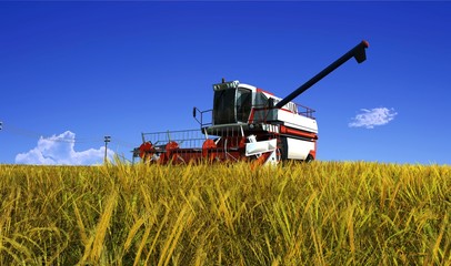 The machine for harvesting