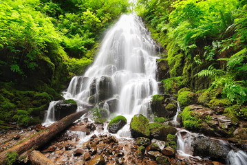 Fototapeta na wymiar Piękne Fairy Falls w Oregon