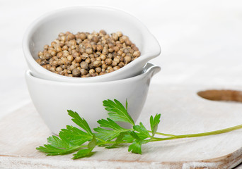 coriander seeds and leaves