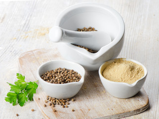 coriander seeds and leaves