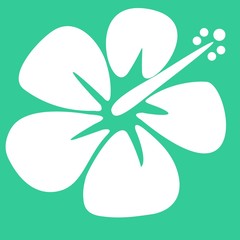 Hibiskus Schablone © eyecat