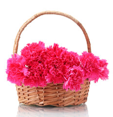 Fototapeta na wymiar Beautiful pink carnations in basket isolated on white