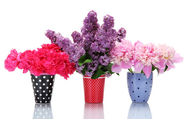beautiful spring flowers in cups isolated on white