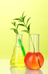 test-tubes with a colorful solution and plant
