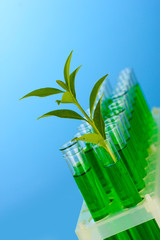 Fototapeta na wymiar Test-tubes with a green solution and the plant