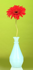 Beautiful red gerbera in vase on green background close-up
