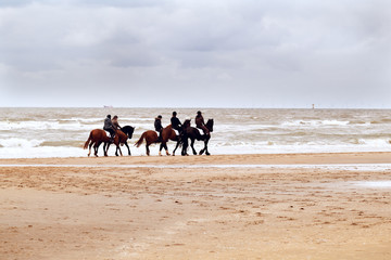 Fototapeta na wymiar few horses on beach