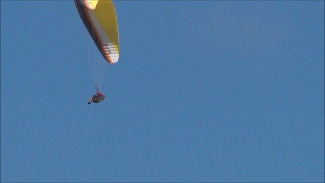 Paragleiter