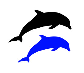 Dauphin bleu et noir