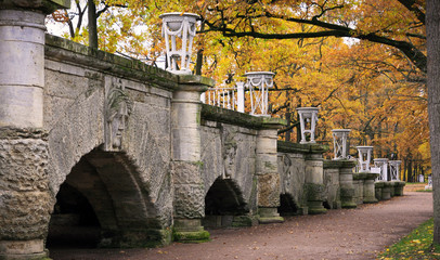 Autumn in old park