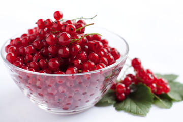 Ripe red currant