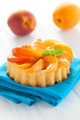 Törtchen mit Aprikose