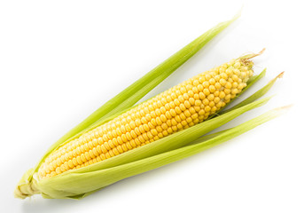 Corn cob